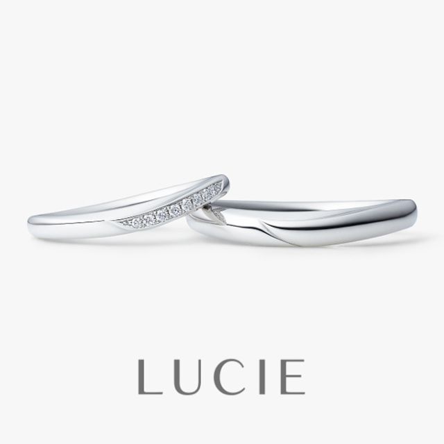 ドルフィン（イルカ）