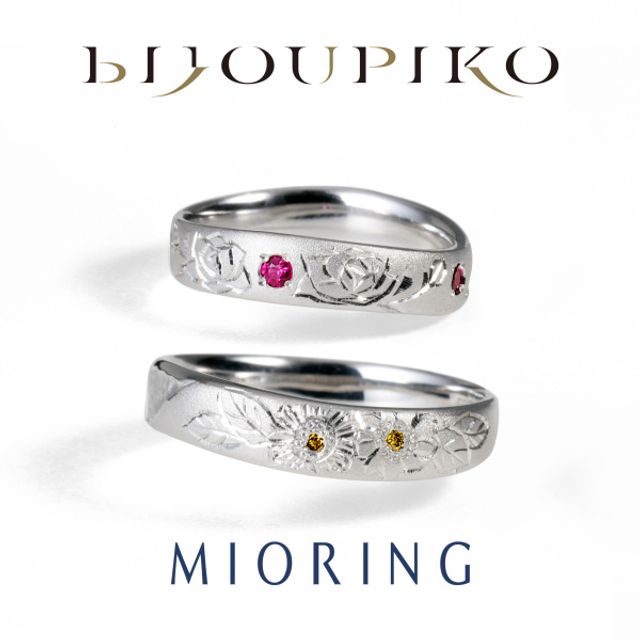 【Himawari】向日葵