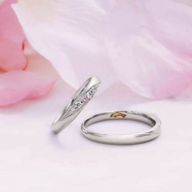 1255141　/　1307847