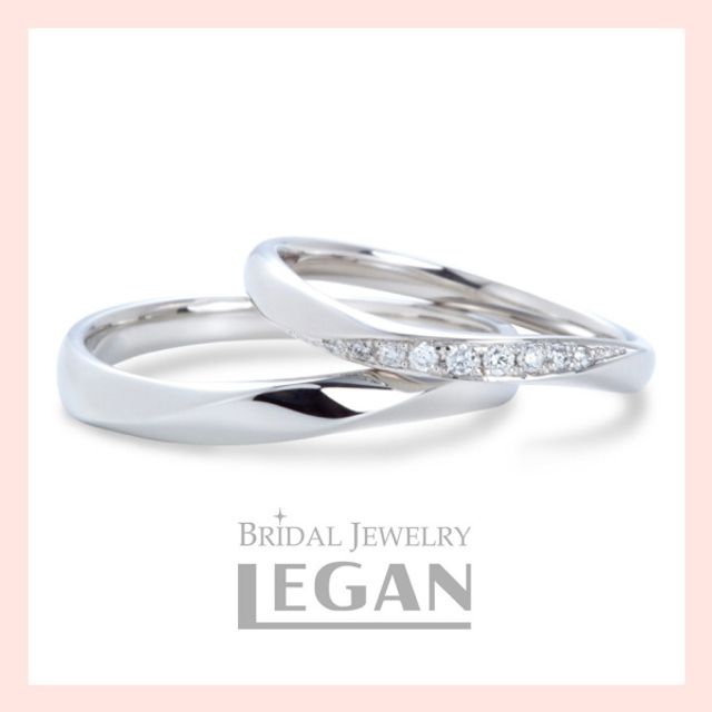 サイネリア（Cineraria）