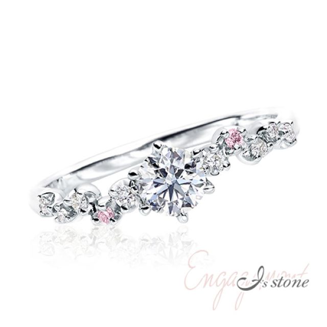 Parterre_01 **パルテル**