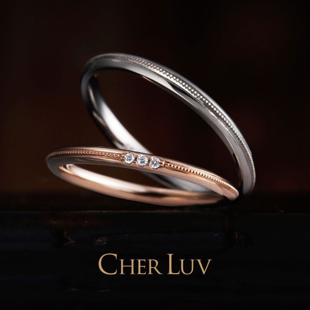 【 CAMPANULE 】 カンパニュラ