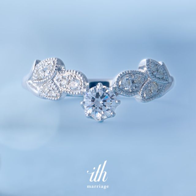 【クラシカルなボタニカルデザイン】フィオーレ / Fiore