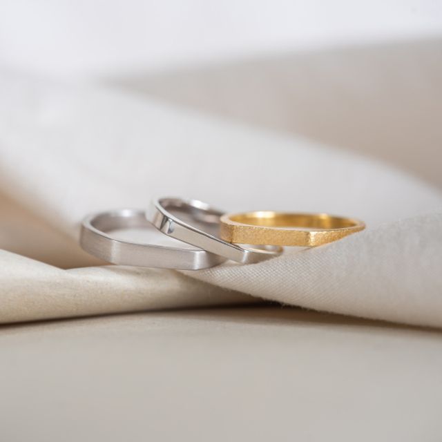 -SHIRUSHI-Series Pachira -パキラ-